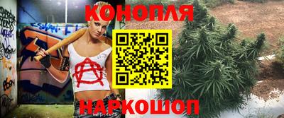 спиды Заволжье