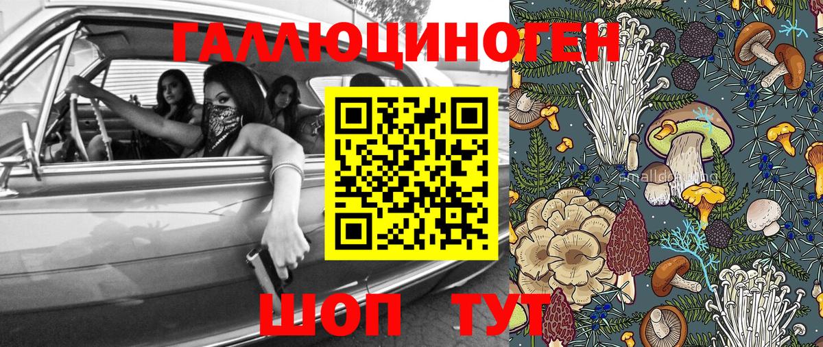 Псилоцибиновые грибы Psilocybe  Вход с VPN  Михайловск 